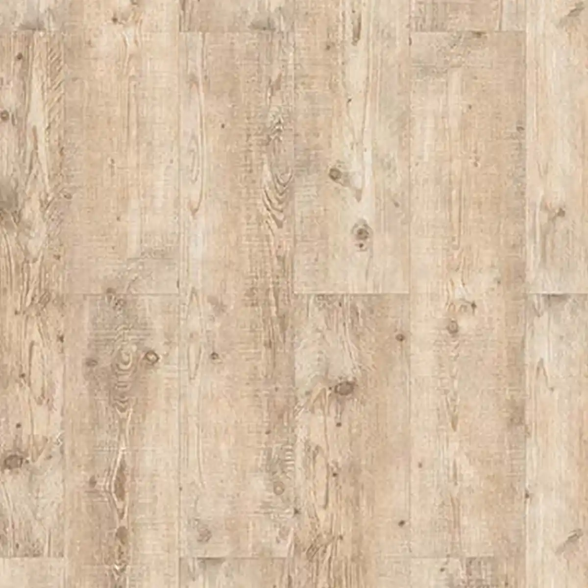Bild 1 von Classen Laminat '832-4 WR' Pinie creme 8 mm