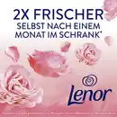 Bild 4 von Lenor Wäscheparfüm Pfingstrose Hibiskusblüte, 155 g