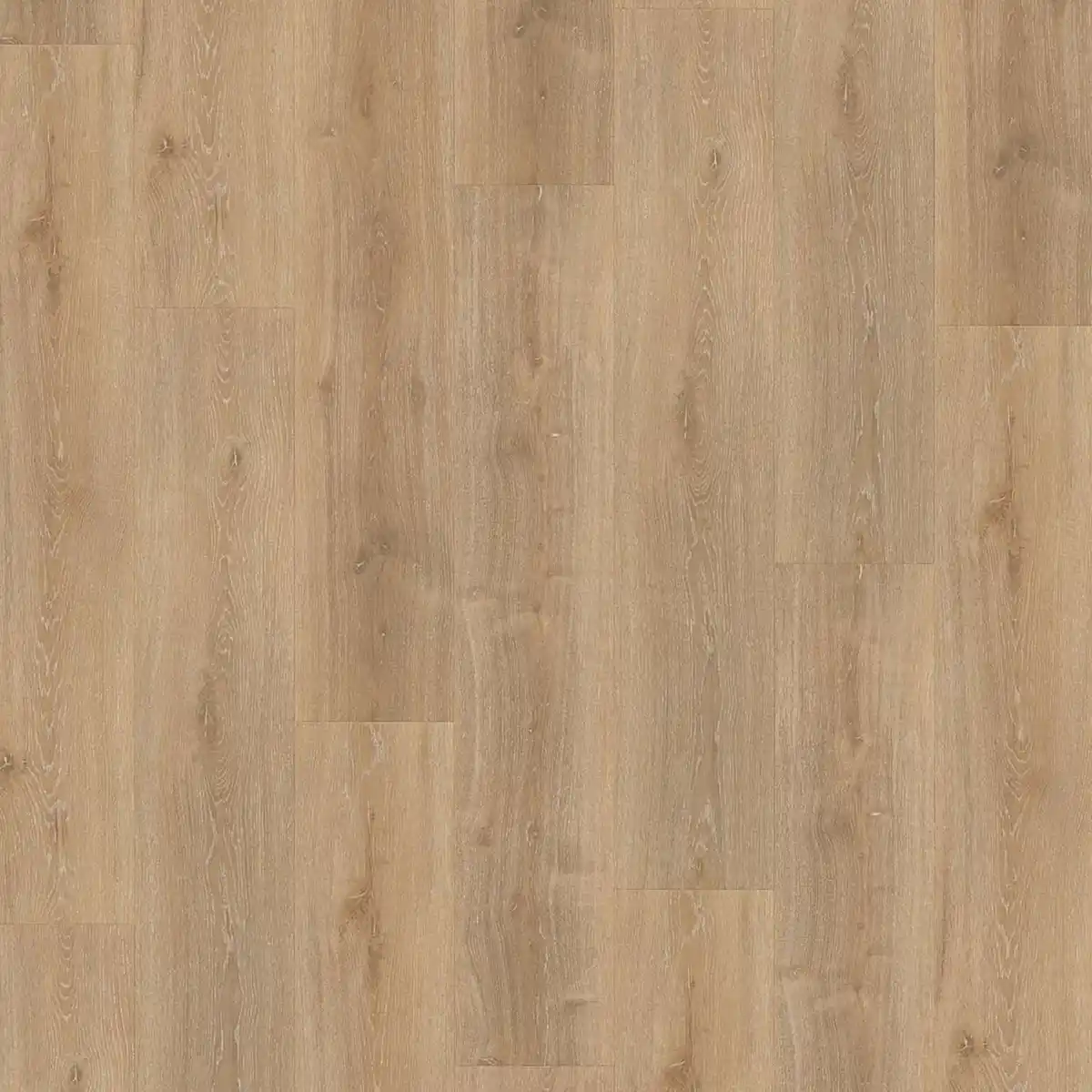 Bild 1 von Parador Vinylboden 'Basic 5.3' Eiche Royal hell gekälkt hellbraun 5,3 mm