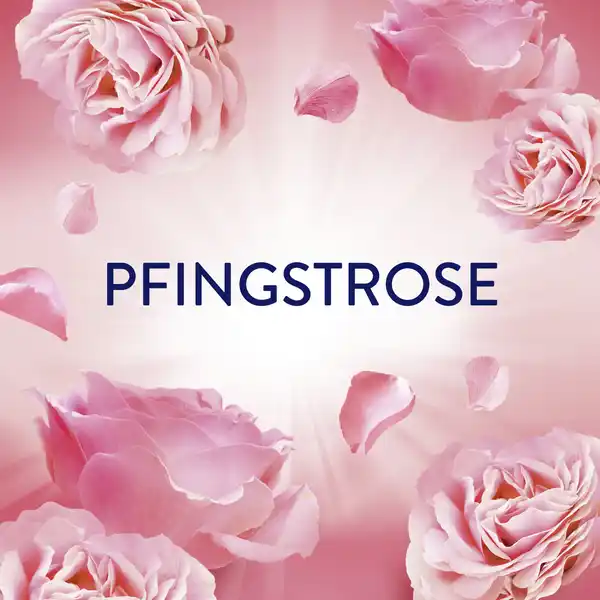 Bild 3 von Lenor Wäscheparfüm Pfingstrose Hibiskusblüte, 155 g