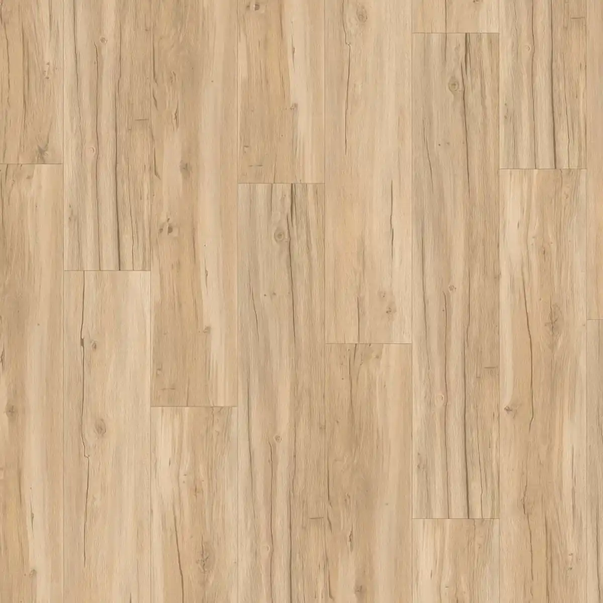 Bild 1 von Parador Vinylboden 'Basic 5.3' Eiche Memory geschliffen hellbraun 5,3 mm