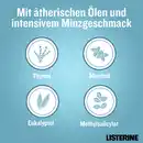 Bild 4 von Listerine 6er-Set Mundspülung Cool Mint, 3 L