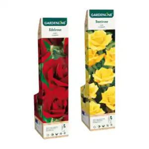 GARDENLINE Edel- / Beet- / Kletterrose