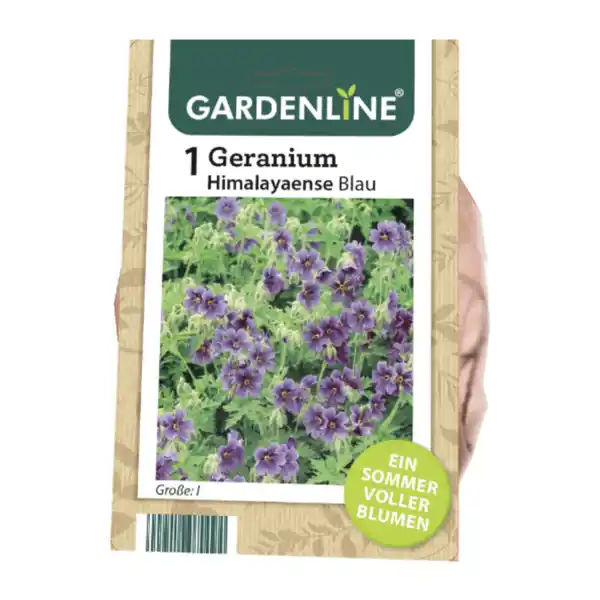 Bild 4 von GARDENLINE Stauden / Knollen