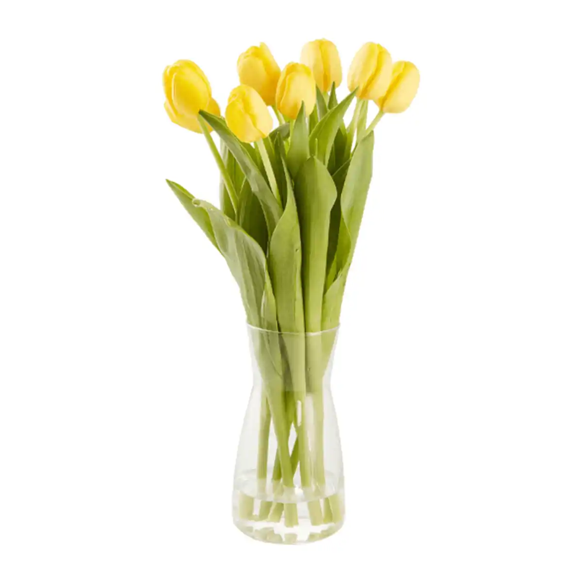 Bild 4 von GARDENLINE Tulpen