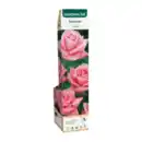 Bild 4 von GARDENLINE Edel- / Beet- / Kletterrose