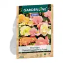 Bild 3 von GARDENLINE Knollenbegonien