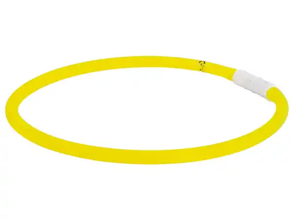 Bild 3 von zoofari® Hundehalsband, mit LED