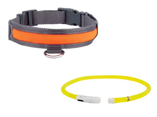 Bild 1 von zoofari® Hundehalsband, mit LED