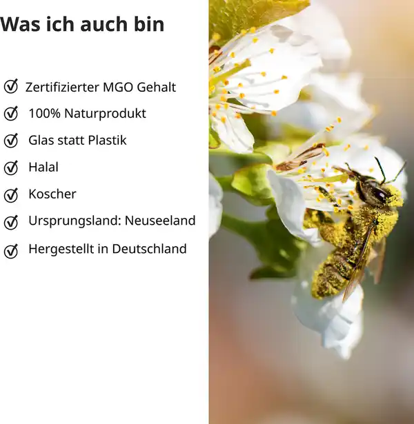 Bild 3 von kindgesund Manuka Honig MGO 200+, 250 g