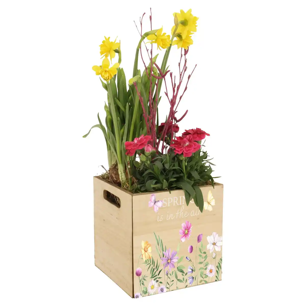 Bild 1 von GARDENLINE Bepflanzte Holzgefäße