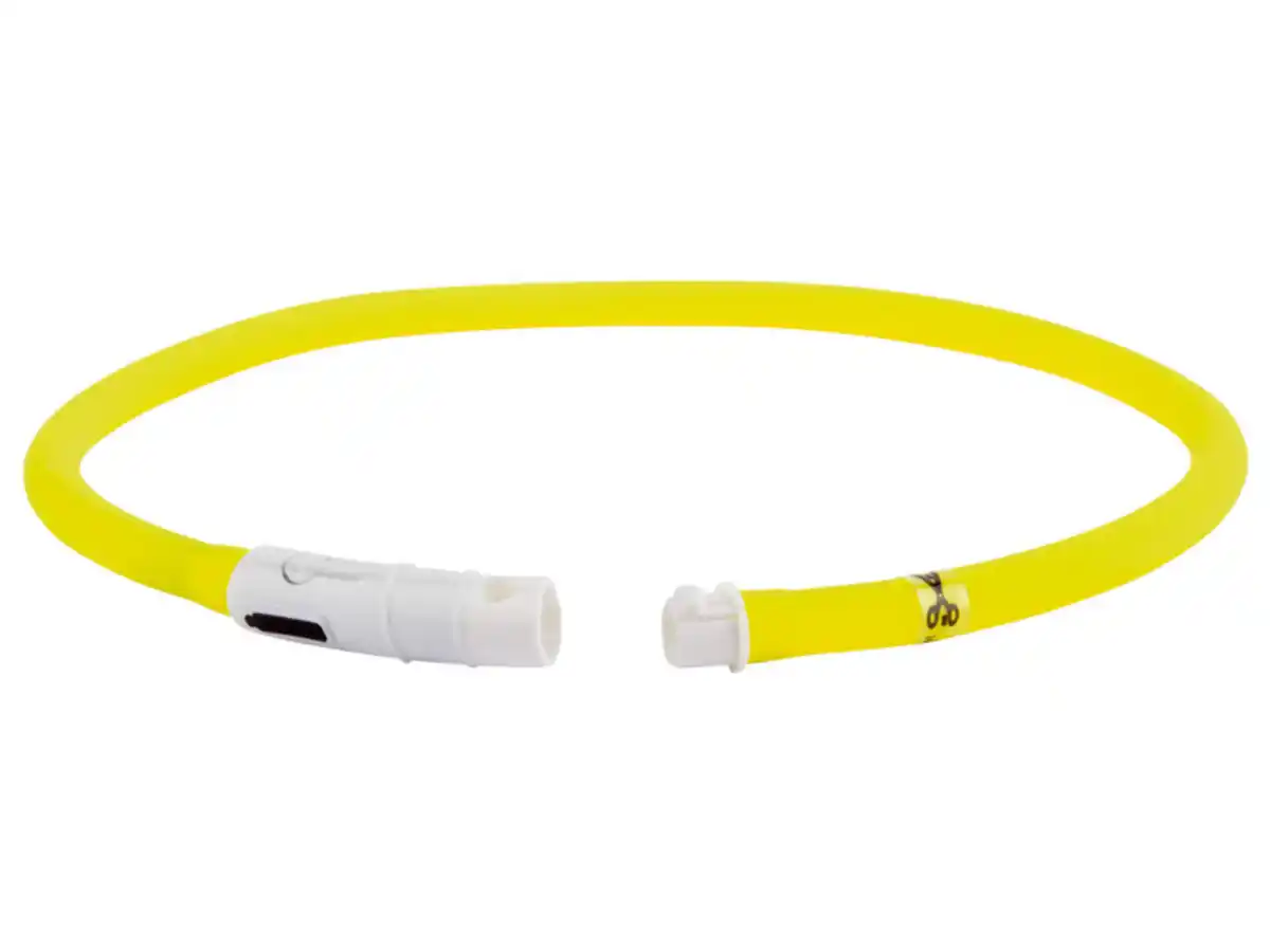 Bild 4 von zoofari® Hundehalsband, mit LED