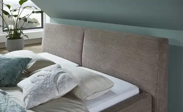 Bild 3 von Polsterbett Magnum