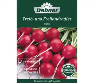 Dehner Premium Samen Treib- u. Freilandradies 'Lucia'