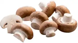 Champignons