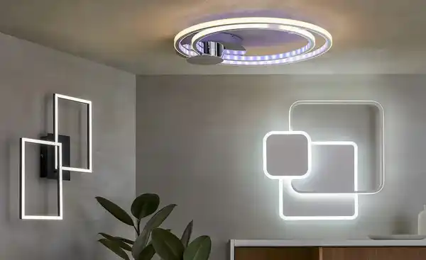 Bild 4 von Meisterleuchten LED-Deckenleuchte 2-flammig, schwarz mit Fernbedienung