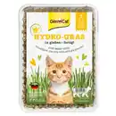 Bild 1 von GimCat Hydro-Gras 150 g