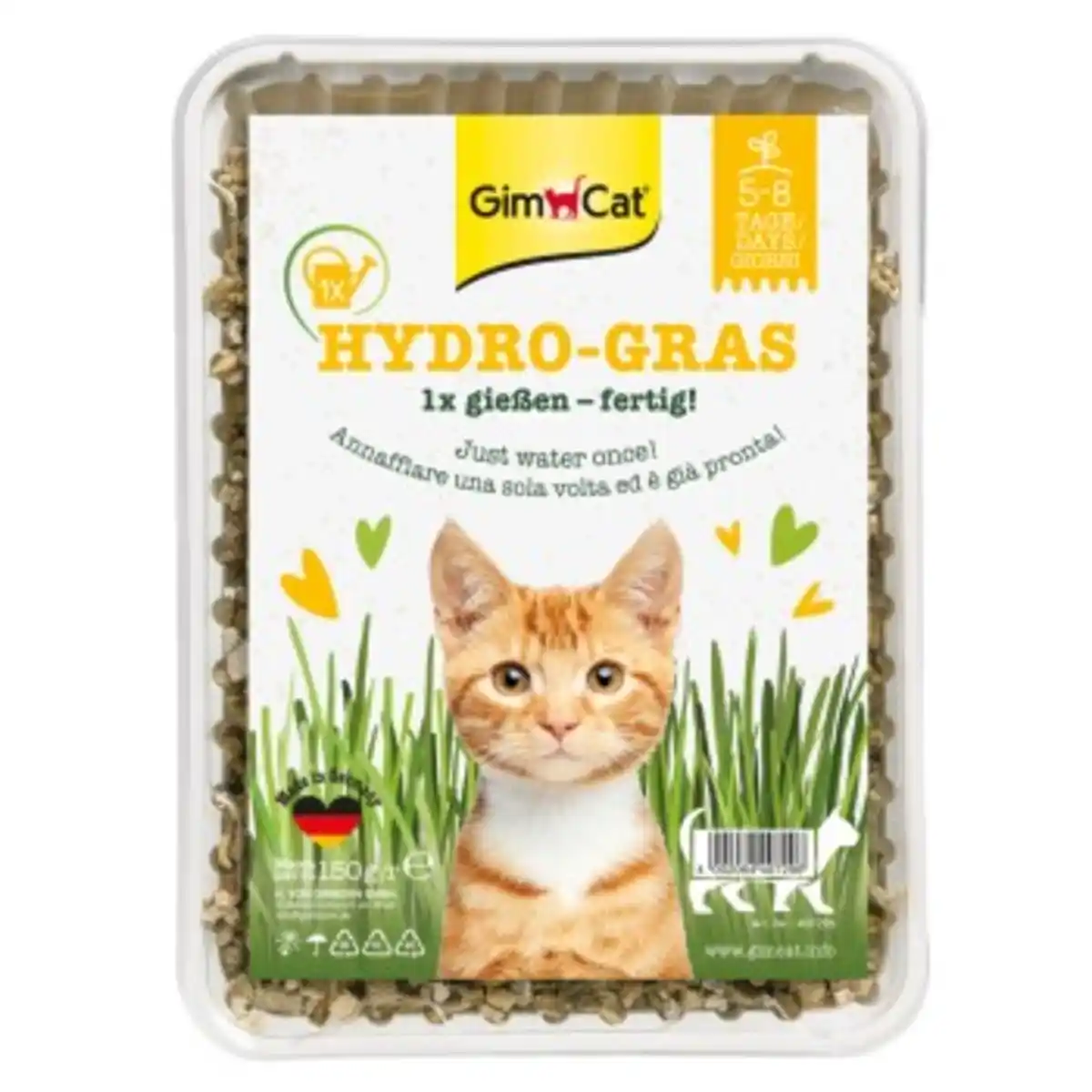 Bild 1 von GimCat Hydro-Gras 150 g