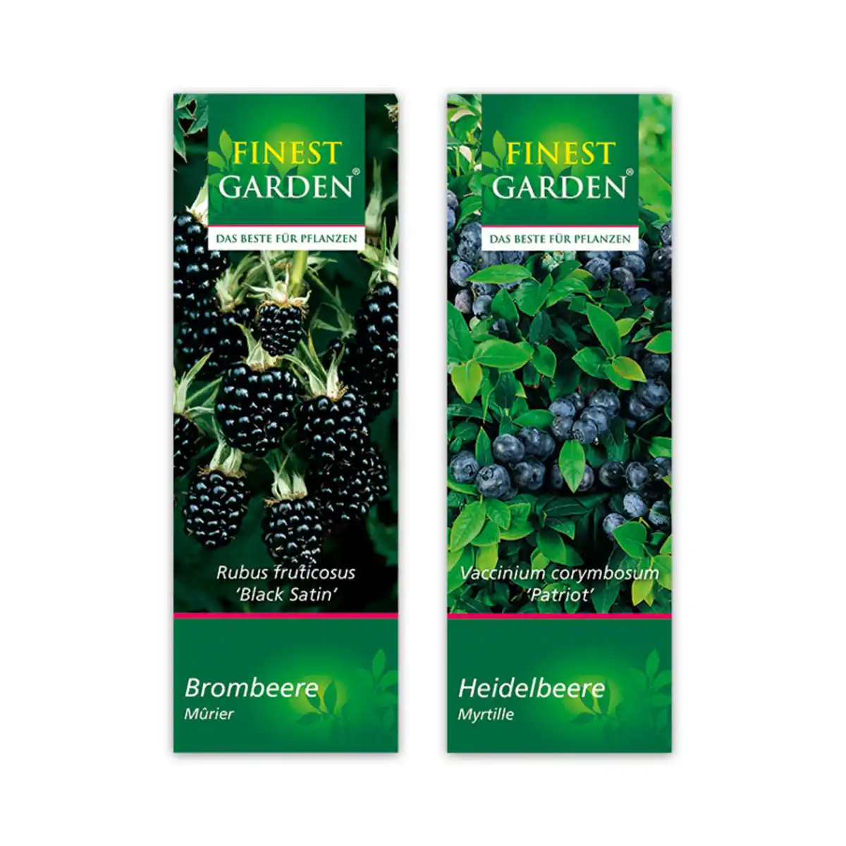 Bild 3 von Finest Garden Beerensträucher