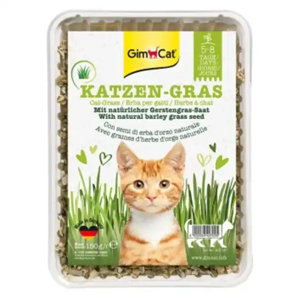 Bild 1 von GimCat Katzengras 150g