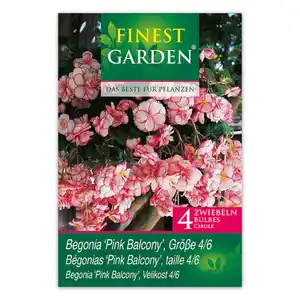 Finest Garden Begonien Knollen