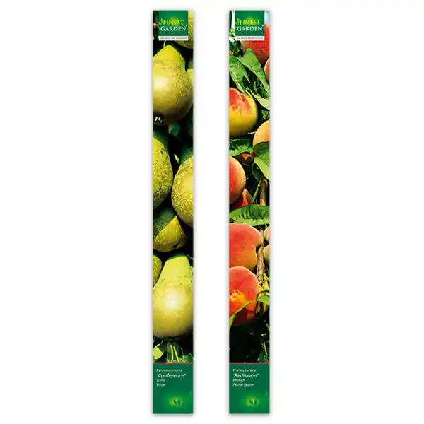 Bild 4 von Finest Garden Obstbäume