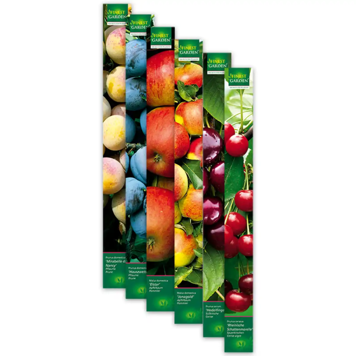 Bild 1 von Finest Garden Obstbäume