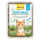 Bild 1 von GimCat Soft-Gras 100 g