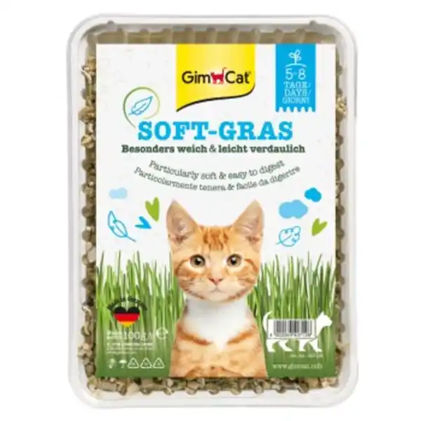 Bild 1 von GimCat Soft-Gras 100 g