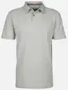 Bild 1 von Herren Poloshirt Grau