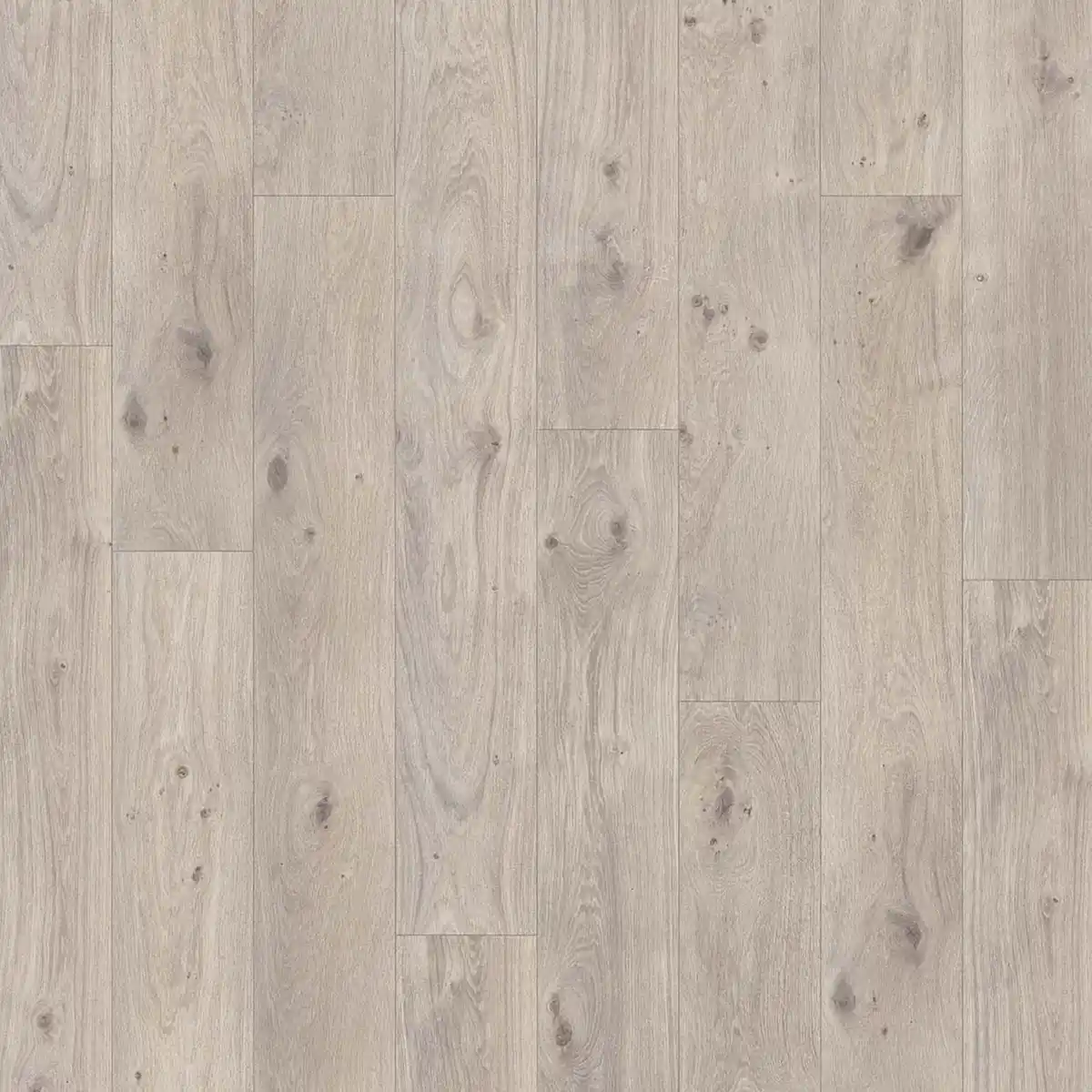 Bild 1 von Parador Laminat 'Basic 400' Eiche natur grau braun 8 mm