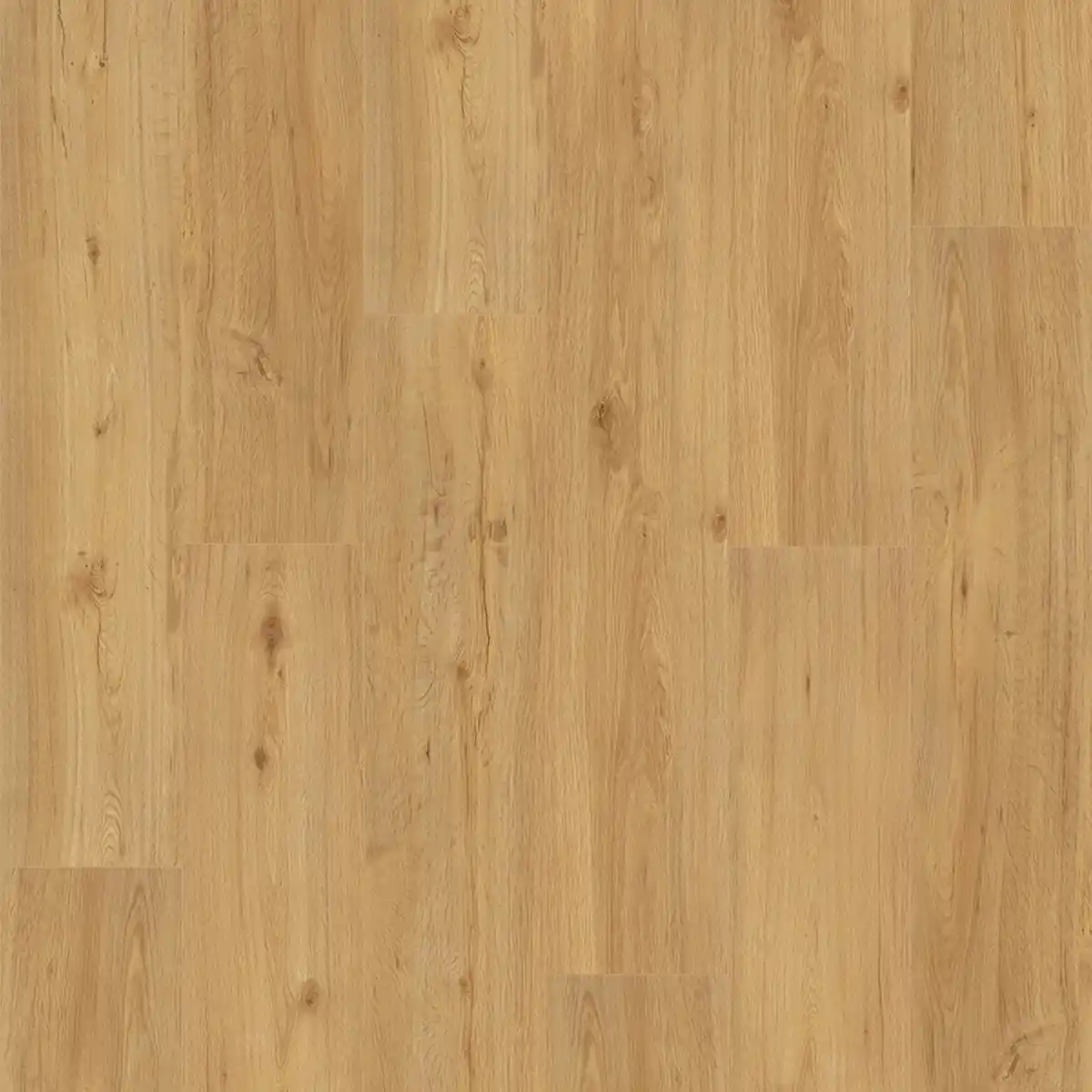 Bild 1 von Parador Vinylboden Basic 5.3 Eiche Natur