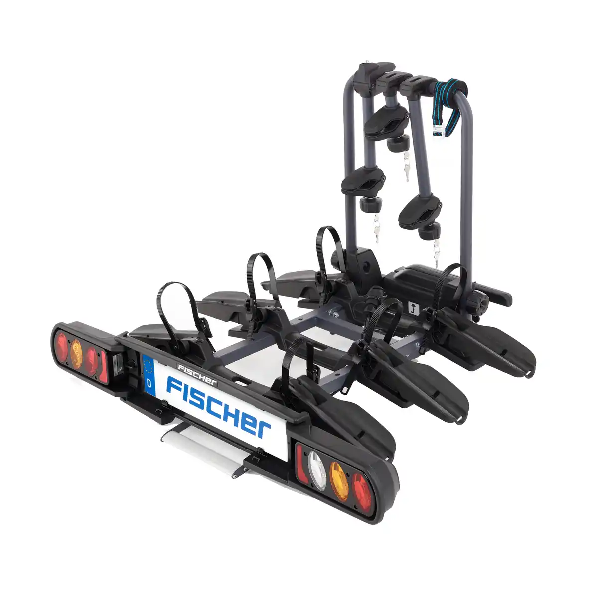 Bild 1 von Fischer E-Bike-Fahrradträger 'Proline Evo 3' schwarz