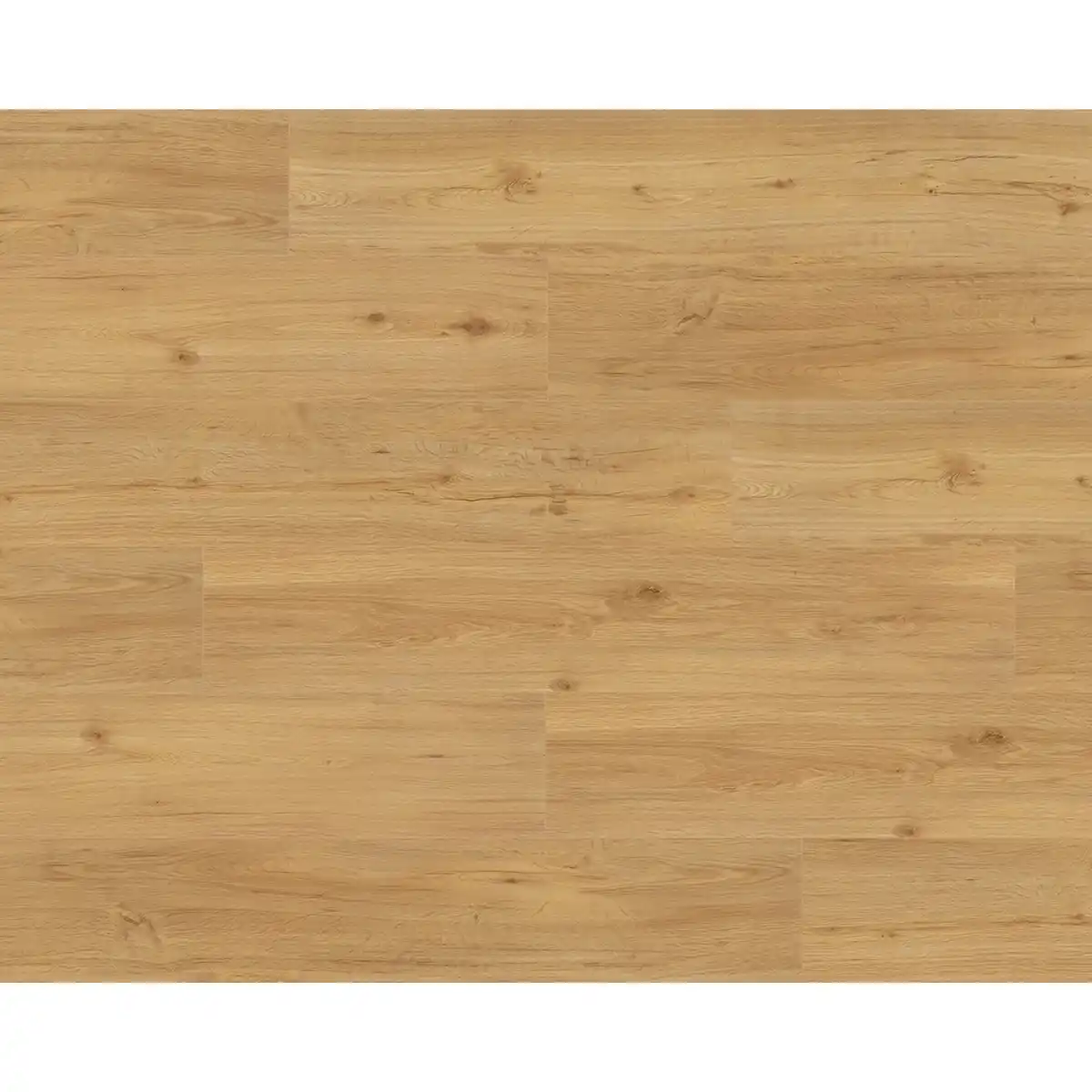 Bild 3 von Parador Vinylboden Basic 5.3 Eiche Natur