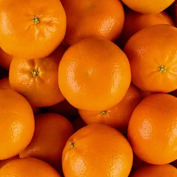 Bild 2 von Götterfrucht Mandarinen "Götterfrucht"