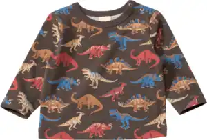 ALANA Langarmshirt Pro Climate mit Dino-Muster, grau, Gr. 74