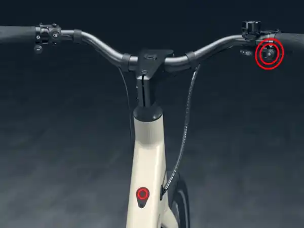 Bild 3 von CRIVIT Urban E-Bike Y.3 GATES Riemenantrieb