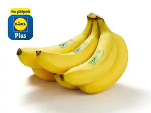 Bio-Fairtrade-Bananen, lose