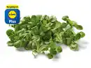 Bild 1 von Bio Feldsalat,  100 g