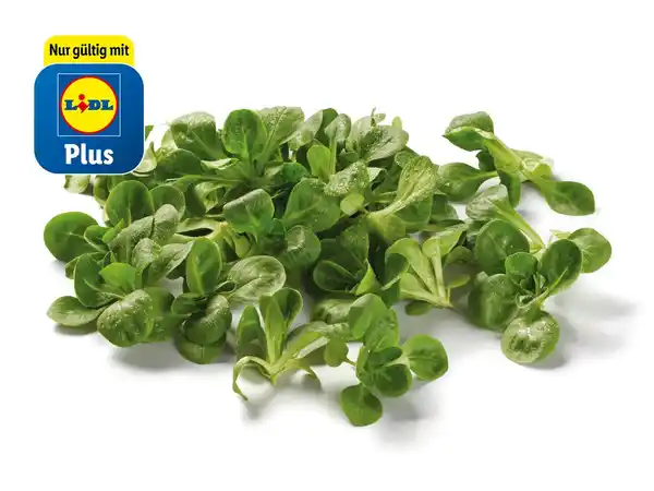 Bild 1 von Bio Feldsalat,  100 g