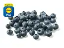 Bild 1 von Bio Heidelbeeren,  125 g