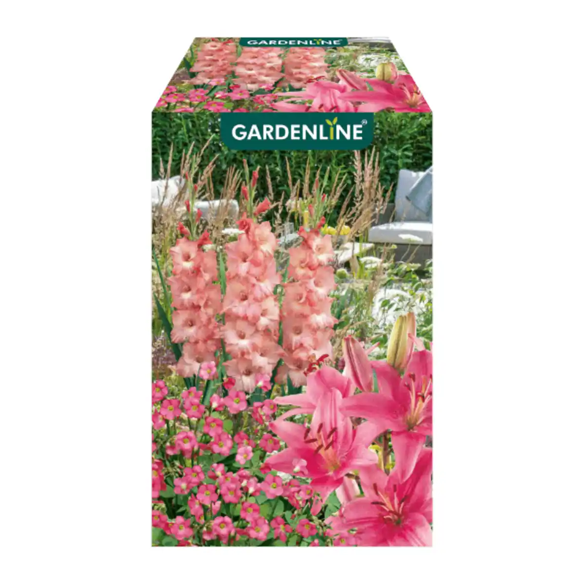 Bild 2 von GARDENLINE Blumenzwiebeln Farbmix 500g