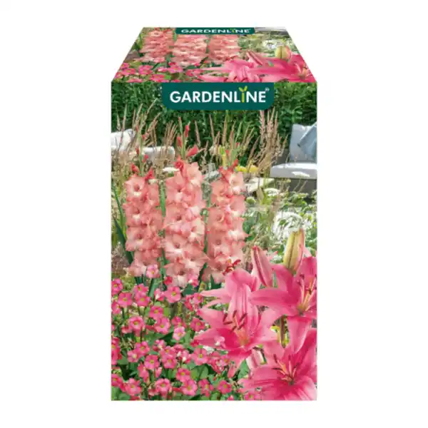 Bild 2 von GARDENLINE Blumenzwiebeln Farbmix 500g