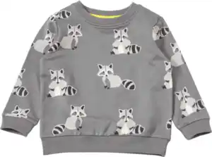 ALANA Sweatshirt mit Waschbär-Muster, grau, Gr. 92