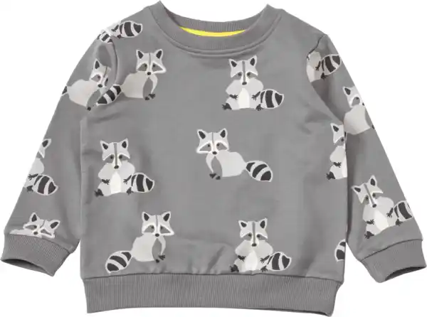 Bild 1 von ALANA Sweatshirt mit Waschbär-Muster, grau, Gr. 92