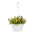 Bild 3 von GARDENLINE Viola-Ampelpflanze