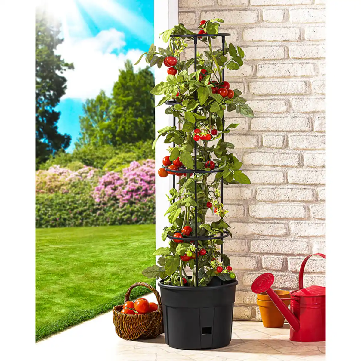 Bild 1 von Powertec Garden Tomatenturm