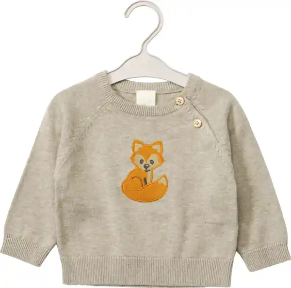 Bild 1 von ALANA Pullover aus Strick mit Fuchs-Stickerei, beige, Gr. 62