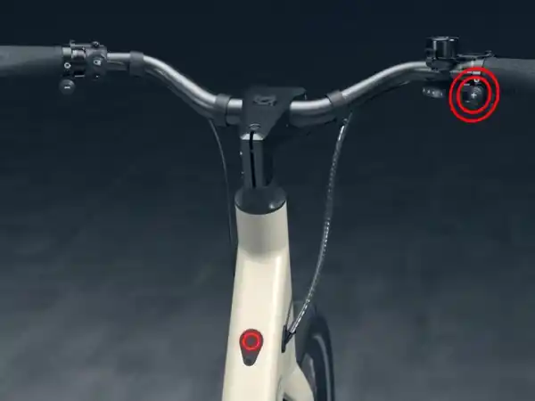 Bild 3 von CRIVIT Urban E-Bike X.3 GATES Riemenantrieb