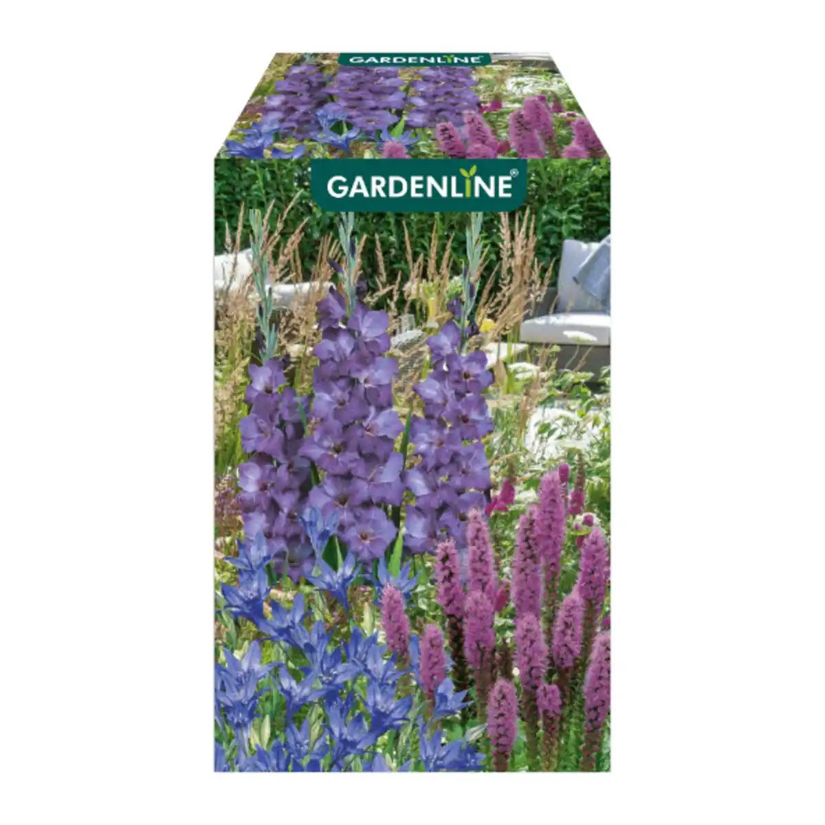 Bild 4 von GARDENLINE Blumenzwiebeln Farbmix 500g